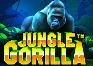 b2y ล่าสุด Jungle Gorilla ทดลองเล่นฟรี